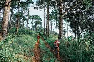 BIB: 
                            <button type="button" onclick="openModal(25652492)" class="btn btn-primary btn-sm float-right btn-popup" data-toggle="modal" data-target=".modal-high-quality">
                        <i class="fas fa-shopping-cart"></i> Add to Cart
                    </button>
                                            <button type="button" onclick="isThisMe(25652492, true)" class="btn btn-success btn-sm float-right btn-popup btn-isme hidden" data-toggle="tooltip" data-placement="bottom" title="นี่คือรูปของคุณใช่ไหม คลิกที่นี่เพื่อเอาเข้าอัลบั้ม">
                        <i class="fas fa-plus"></i> Add to album
                    </button>
                    <button type="button" onclick="isThisMe(25652492, false)" class="btn btn-warning btn-sm float-right btn-popup btn-isnotme hidden">
                        <i class="fas fa-ban"></i> Remove from album
                    </button>